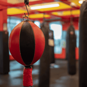 14 Types of Punching Bags and What They Are Good For - PunchingBagsGuide