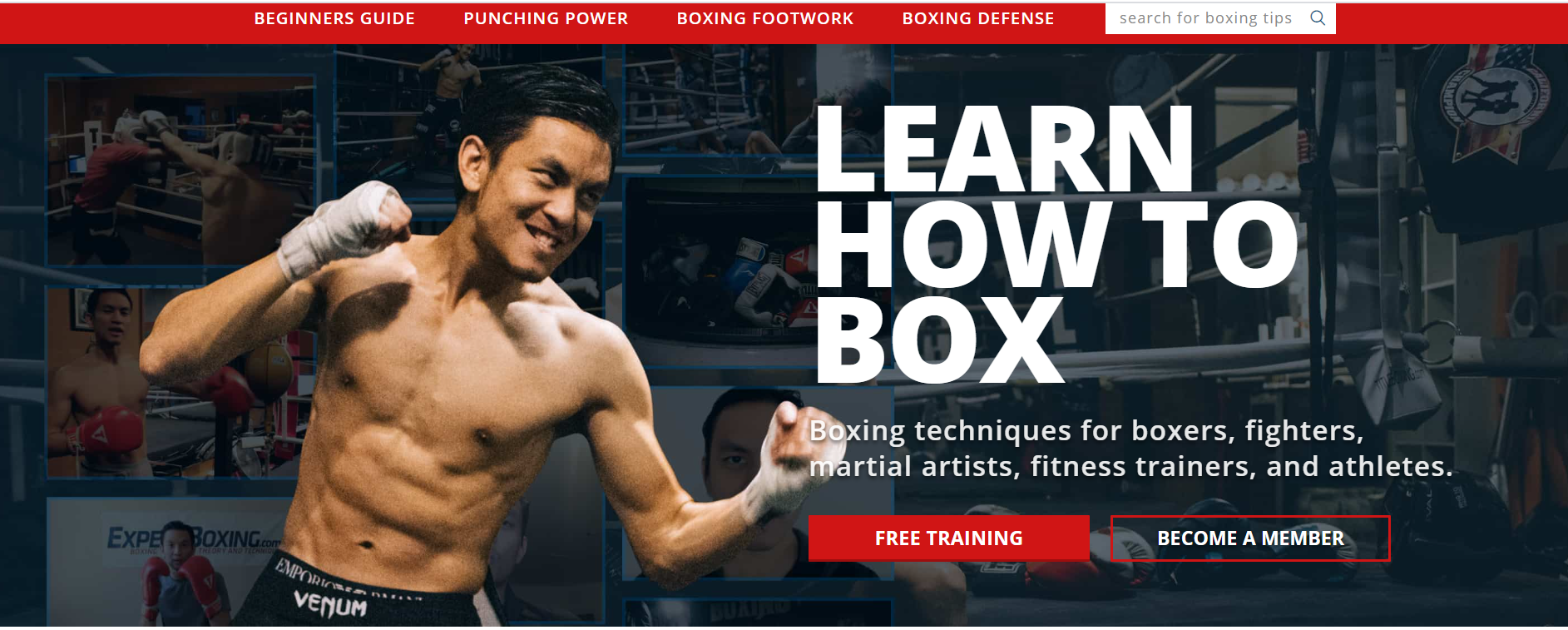 Online discount boxing workout