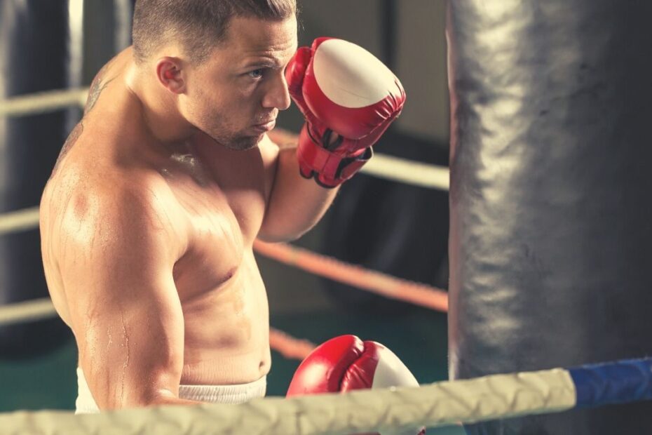 best boxing gloves for heavy bag