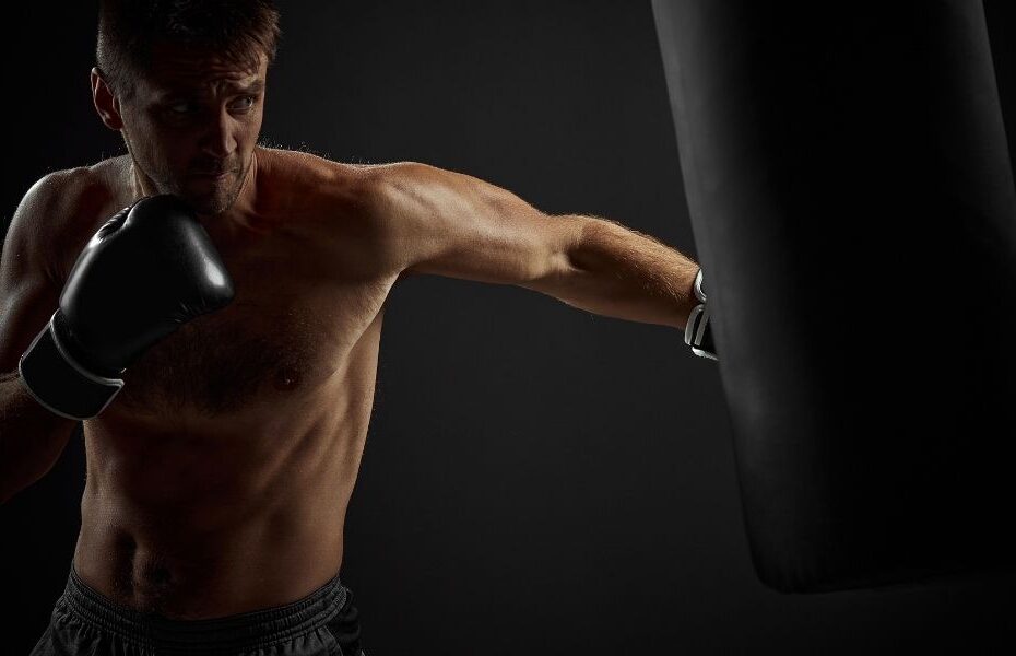best 100 lb heavy bag