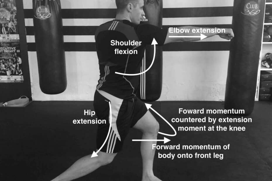 straight-punch-biomechanics